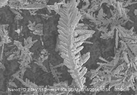 Silvered dendritic copper powder particles M=1800x