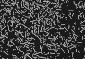Fiber glass at low magnification, M=245x