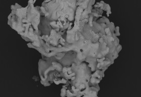 Detail: silvered Cu-particle M=1800x