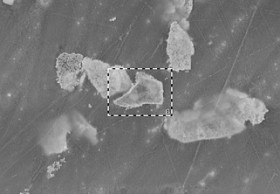 Coppered particles of natural graphite